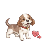 Why Dog Care Matters​