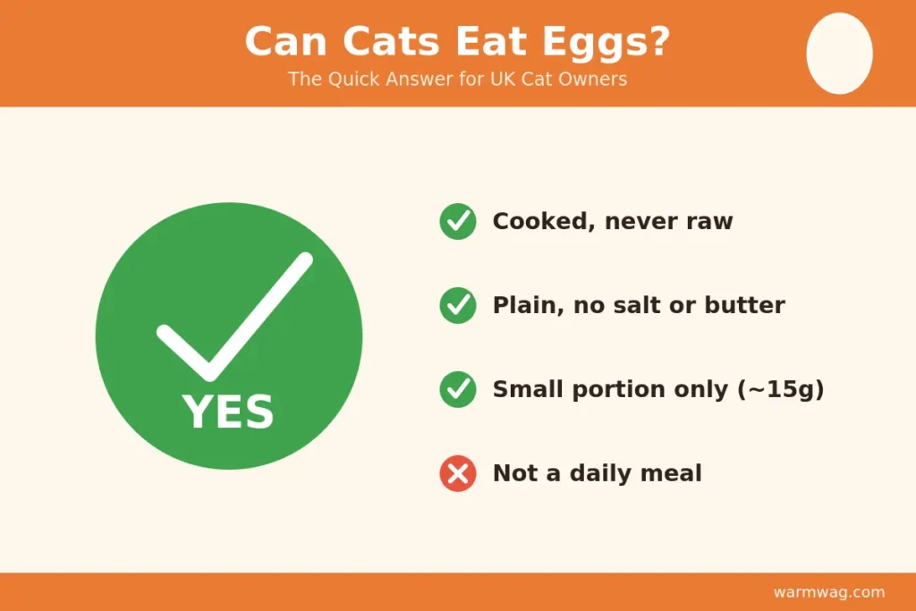 Can cats eat eggs UK quick answer infographic — cooked, plain, small portion