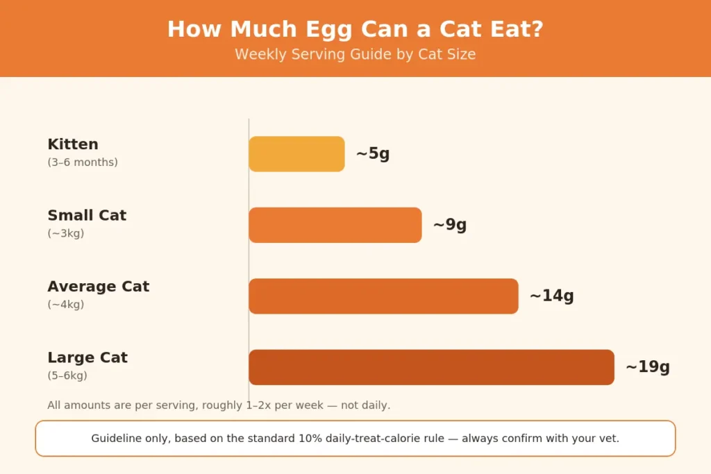 Cat egg serving size chart by weight — kitten to large cat