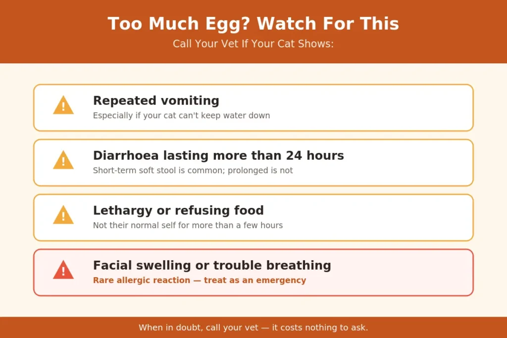 Signs of egg overfeeding in cats — when to call the vet