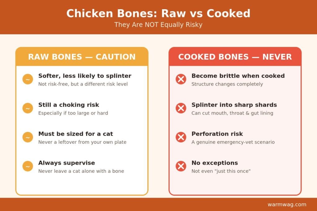 Chicken bones for cats — why raw and cooked bones are not equally risky