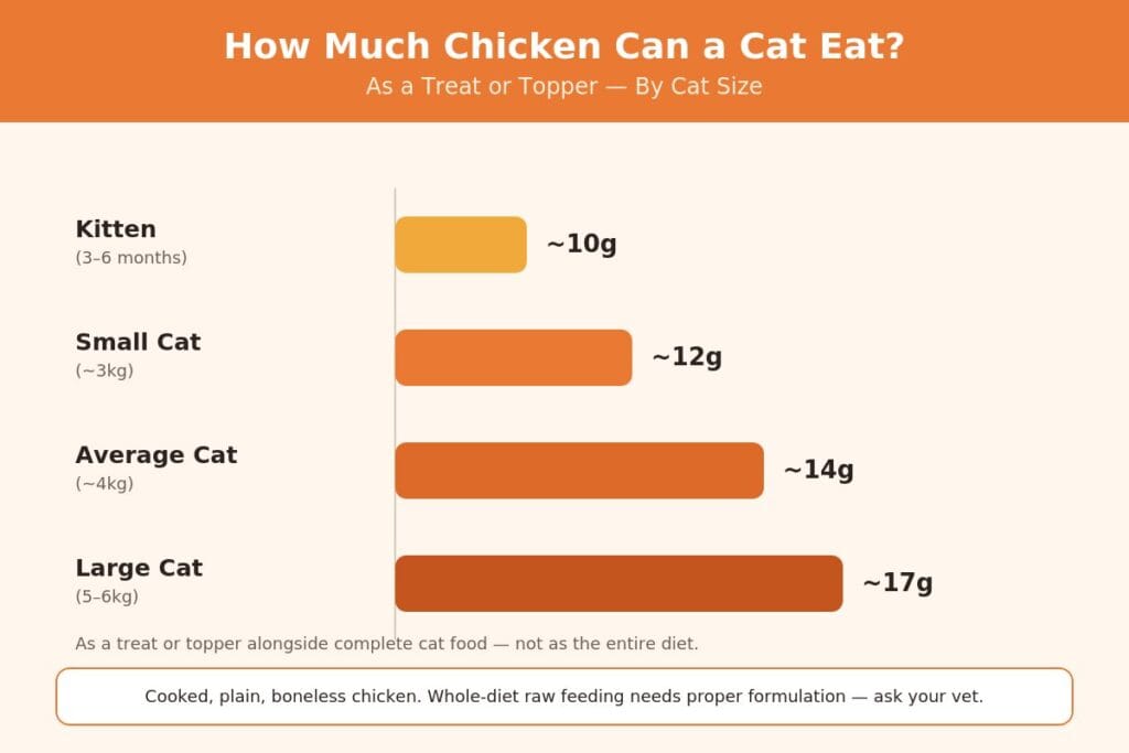 Cat chicken serving size chart by weight — kitten to large cat