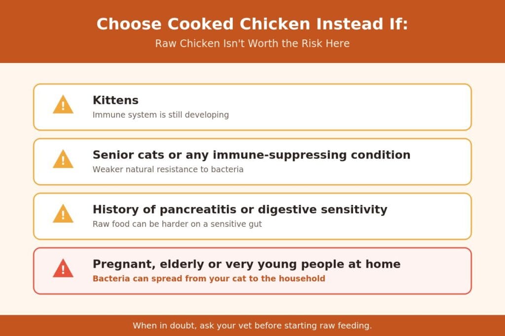 Cats who should avoid raw chicken — risk groups warning card