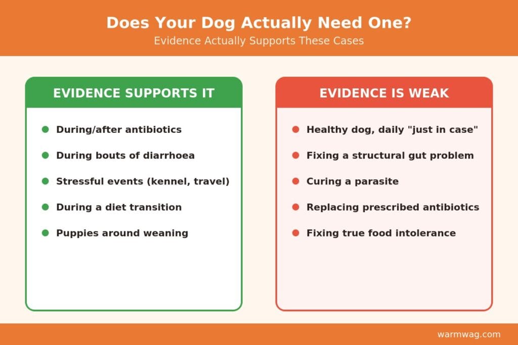 When dog probiotics are evidence-based vs weak evidence