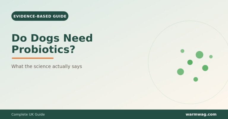 Do dogs need probiotics &mdash; evidence-based UK guide