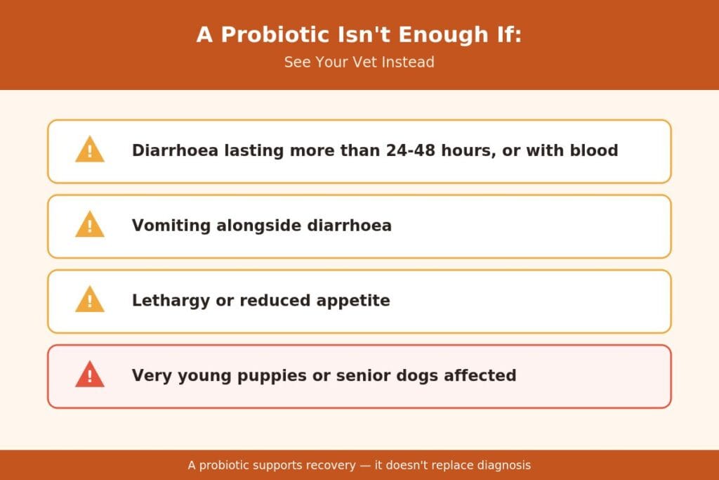 Warning signs a dog probiotic isn't enough, see a vet