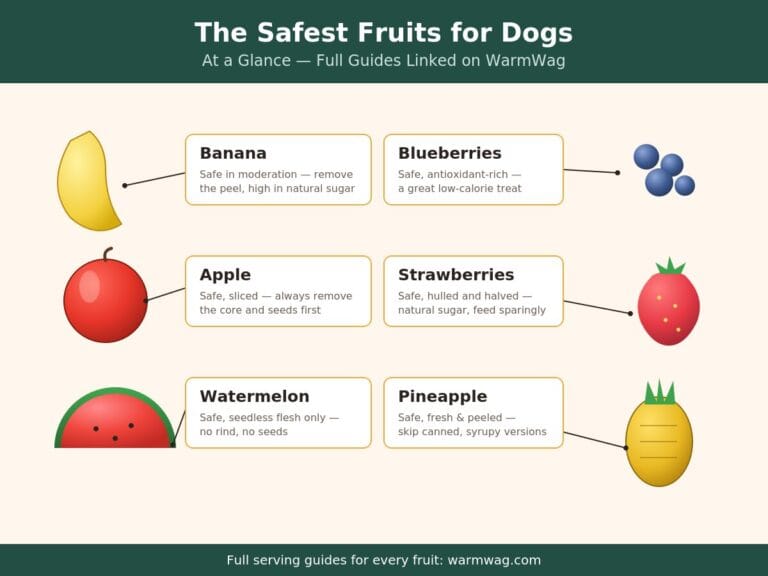 Foods Toxic to Dogs and Cats Emergency steps if your dog or cat eats something toxic