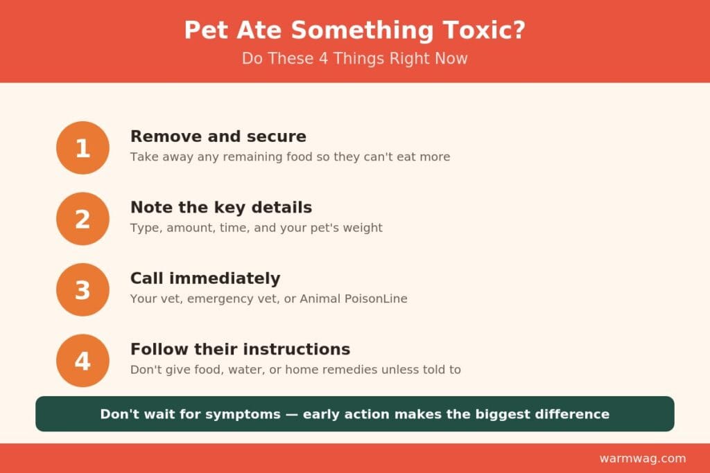 dangerous foods for pets uk Foods Toxic to Dogs and Cats Emergency steps if your dog or cat eats something toxic