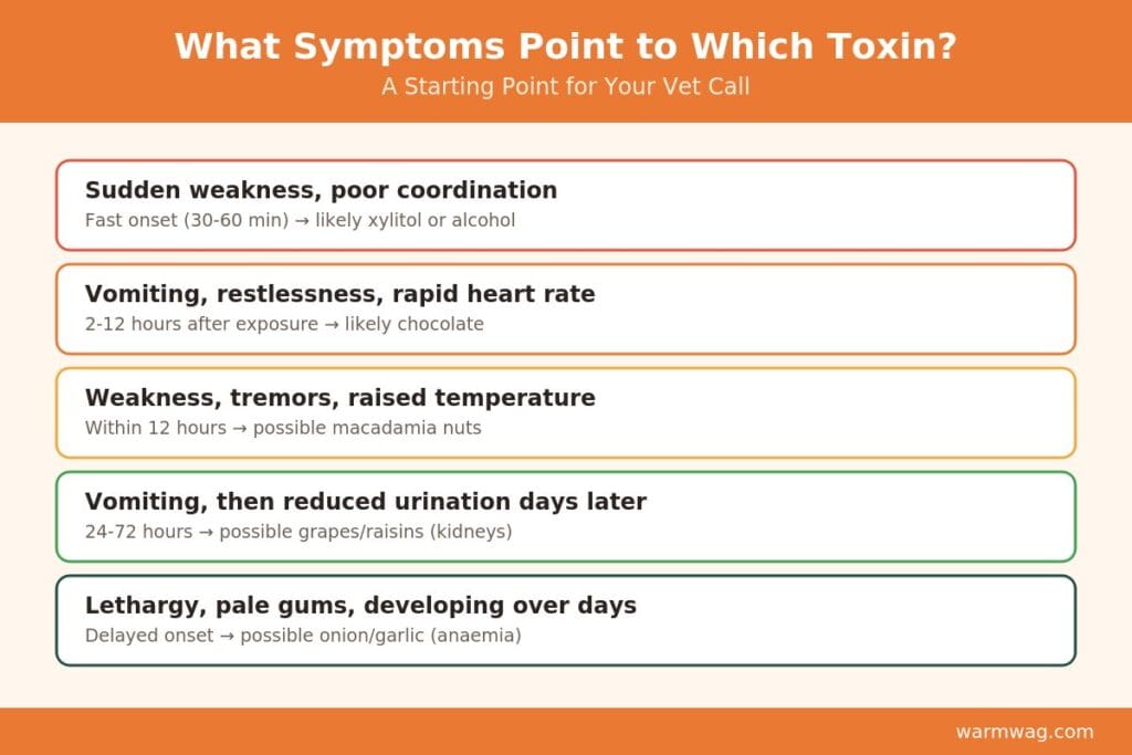 Pet poisoning symptom checker by likely cause