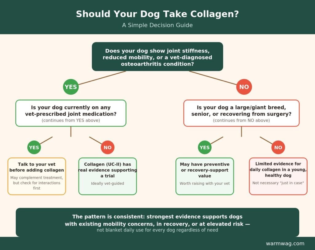 Should your dog take collagen — decision flowchart for dog owners