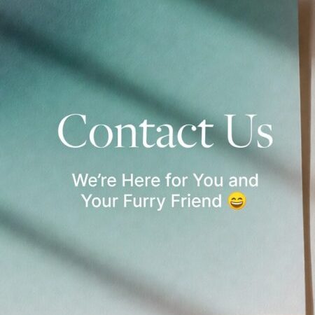 Welcome to the Contact Us page of WarmWag!