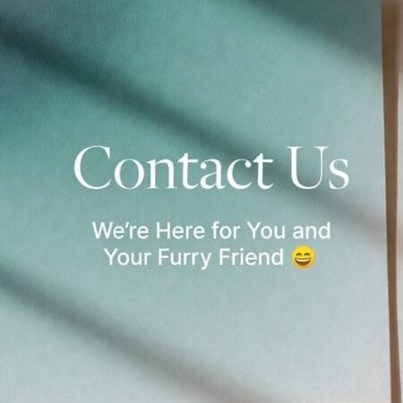Welcome to the Contact Us page of WarmWag!